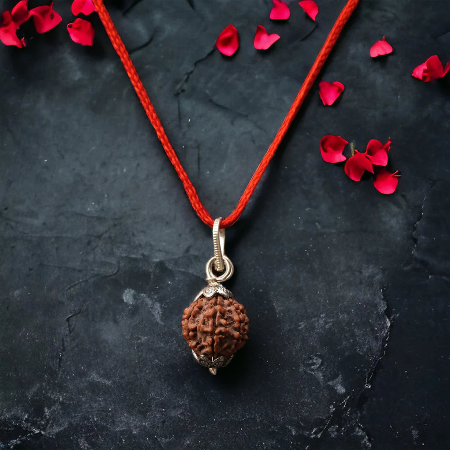 Genuine 7 Mukhi Nepali Rudraksha with Certificate of Authenticity