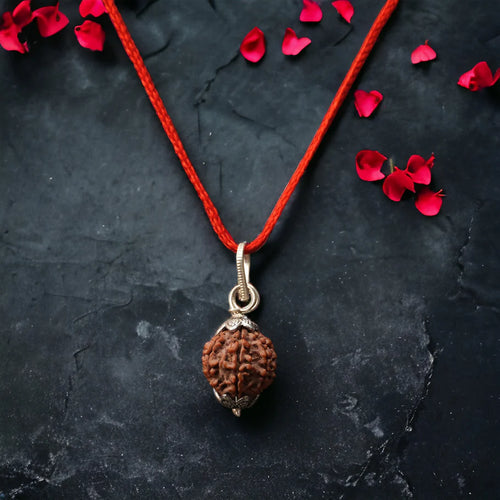 Genuine 7 Mukhi Nepali Rudraksha with Certificate of Authenticity